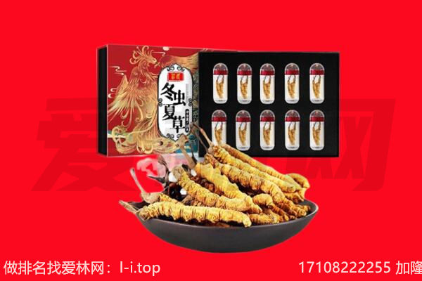 临沧市凤庆回收虫草.jpg
